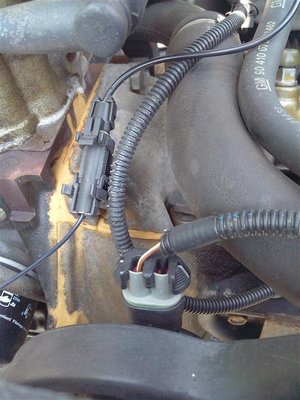 Corsas Tagessuppe