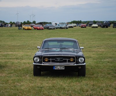 DSC_0135.jpg
