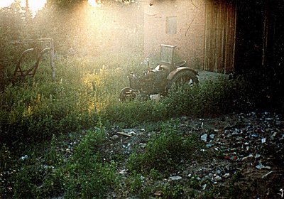 IMG_NEW.jpg