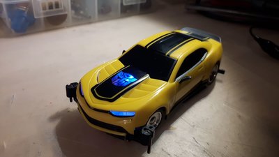 Bumblebee1.jpg